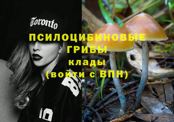 шишки Остров