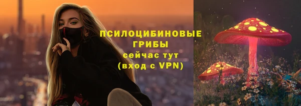 бошки Осташков
