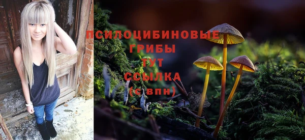 бошки Осташков