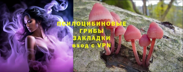 шишки Остров