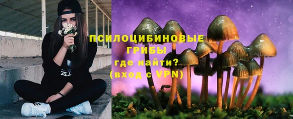бошки Осташков