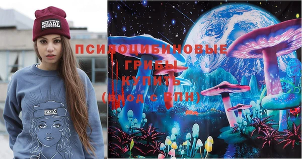 бошки Осташков
