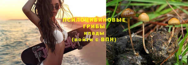 бошки Осташков