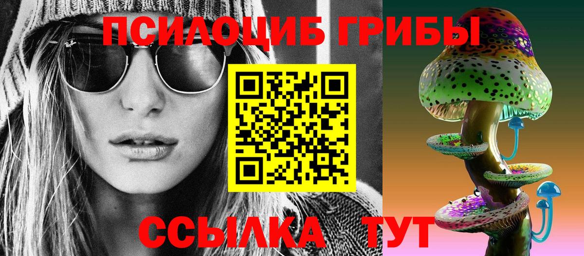 Галлюциногенные грибы GOLDEN TEACHER  Владикавказ 