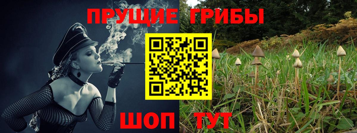 Владикавказ  Галлюциногенные грибы мухоморы  Вход с VPN 