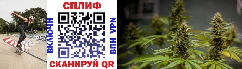 Шишки марихуана конопля Владикавказ