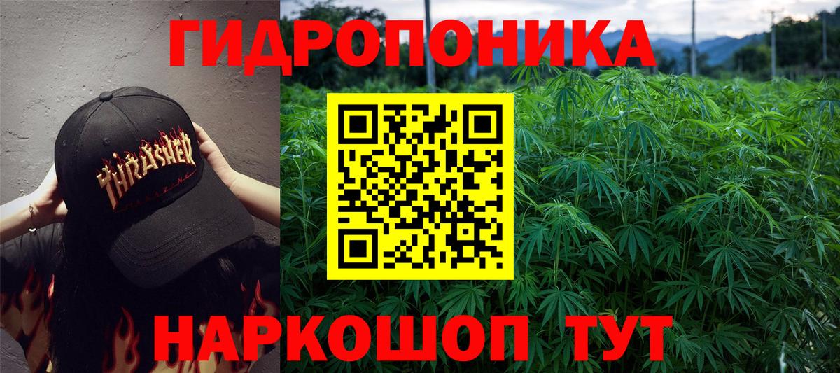 Конопля Bruce Banner Владикавказ
